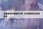 百度竞价托管维护公司  云浮百度竞价托管团队