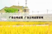 广告公司运营  广告公司运营管理