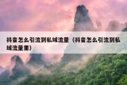 抖音怎么引流到私域流量（抖音怎么引流到私域流量里）