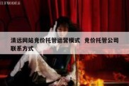清远网站竞价托管运营模式  竞价托管公司联系方式