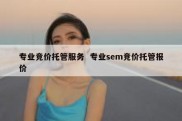 专业竞价托管服务  专业sem竞价托管报价