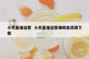 小天直播运营  小天直播运营课网盘资源下载