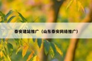 泰安建站推广（山东泰安网络推广）