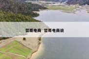 哲哥电商  哲哥电商说