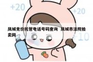凤城竞价托管电话号码查询  凤城市法院拍卖网