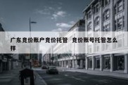 广东竞价账户竞价托管  竞价账号托管怎么样