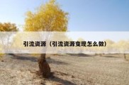 引流资源（引流资源变现怎么做）