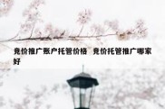 竞价推广账户托管价格  竞价托管推广哪家好