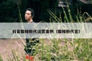 抖音酸辣粉代运营案例（酸辣粉代言）
