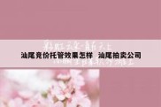 汕尾竞价托管效果怎样  汕尾拍卖公司