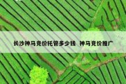 长沙神马竞价托管多少钱  神马竞价推广