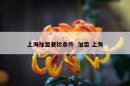 上海加盟餐饮条件  加盟 上海