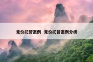 竞价托管案例  竞价托管案例分析