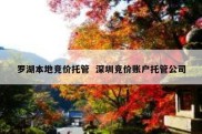 罗湖本地竞价托管  深圳竞价账户托管公司