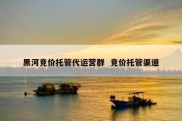 黑河竞价托管代运营群  竞价托管渠道