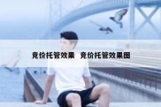 竞价托管效果  竞价托管效果图