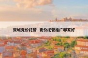 双城竞价托管  竞价托管推广哪家好