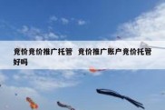 竞价竞价推广托管  竞价推广账户竞价托管好吗