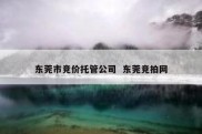 东莞市竞价托管公司  东莞竞拍网