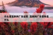 什么是互联网广告运营  互联网广告营销是什么