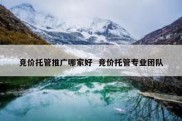 竞价托管推广哪家好  竞价托管专业团队