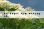 竞价广告托管价位  竞价推广账户竞价托管好吗