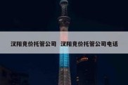 汉阳竞价托管公司  汉阳竞价托管公司电话