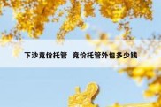 下沙竞价托管  竞价托管外包多少钱