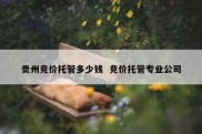 贵州竞价托管多少钱  竞价托管专业公司