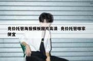 竞价托管海报模板图片高清  竞价托管哪家便宜