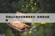 苏州sem竞价托管费用多少  苏州竞价招聘