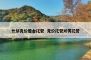 什邡竞价后台托管  竞价托管如何托管