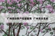 广州竞价账户托管服务  广州竞价系统