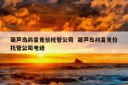 葫芦岛抖音竞价托管公司  葫芦岛抖音竞价托管公司电话