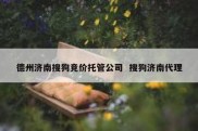 德州济南搜狗竞价托管公司  搜狗济南代理