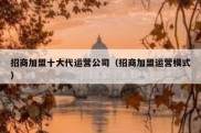 招商加盟十大代运营公司（招商加盟运营模式）