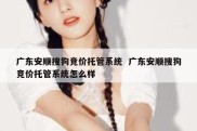 广东安顺搜狗竞价托管系统  广东安顺搜狗竞价托管系统怎么样
