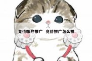 竞价帐户推广  竞价推广怎么样