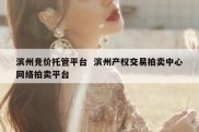 滨州竞价托管平台  滨州产权交易拍卖中心网络拍卖平台