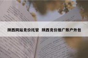 陕西网站竞价托管  陕西竞价推广账户外包