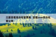 三亚百度竞价托管费用  百度sem竞价托管公司