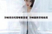 邛崃竞价托管哪里靠谱  邛崃最新宗地拍卖