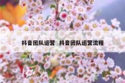 抖音团队运营  抖音团队运营流程