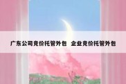 广东公司竞价托管外包  企业竞价托管外包