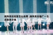 搜狗竞价托管怎么收费  搜狗竞价推广一个点击多少钱