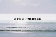 引流平台（飞机引流平台）