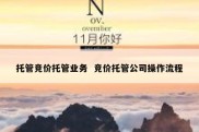 托管竞价托管业务  竞价托管公司操作流程