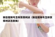 微信视频号怎样获得利润（微信视频号怎样获得利润怎脱换）