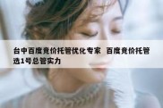台中百度竞价托管优化专家  百度竞价托管选1号总管实力