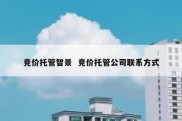 竞价托管智景  竞价托管公司联系方式